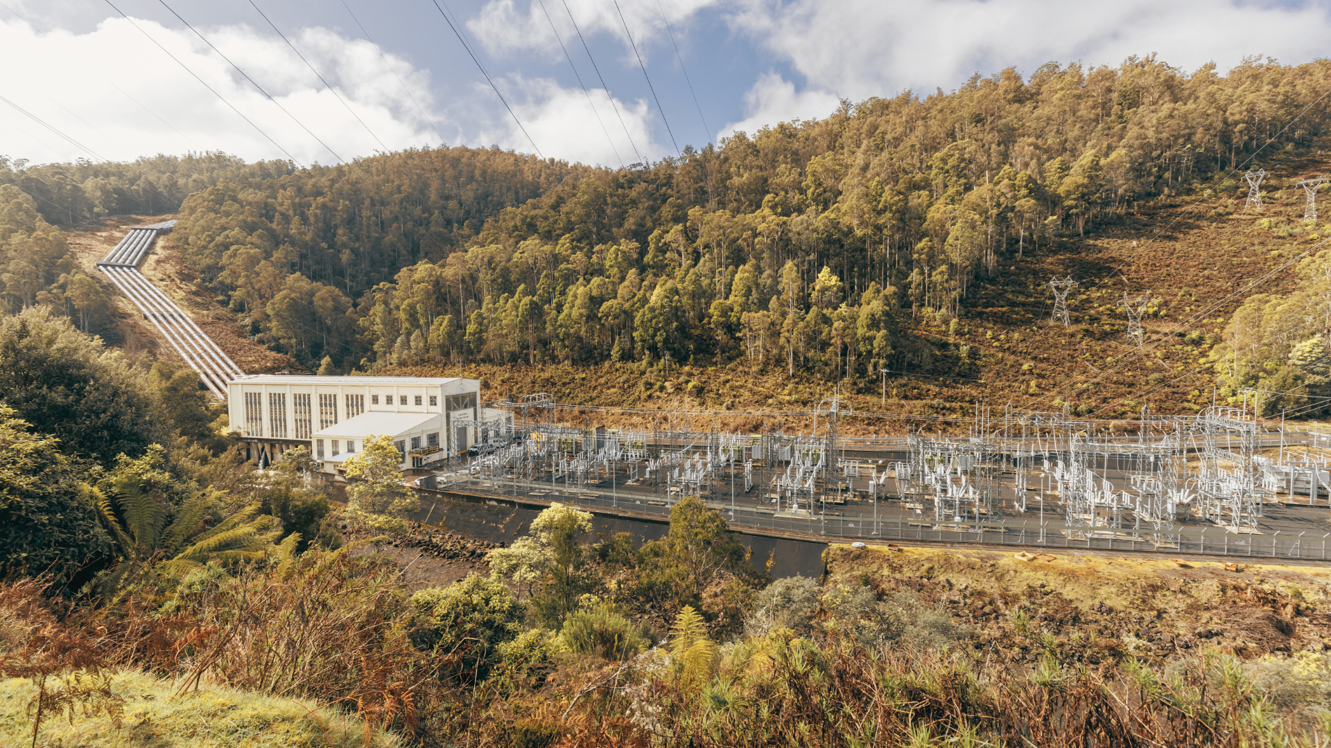 Image 1-Feb-12-2026-05-41-41-2773-AM