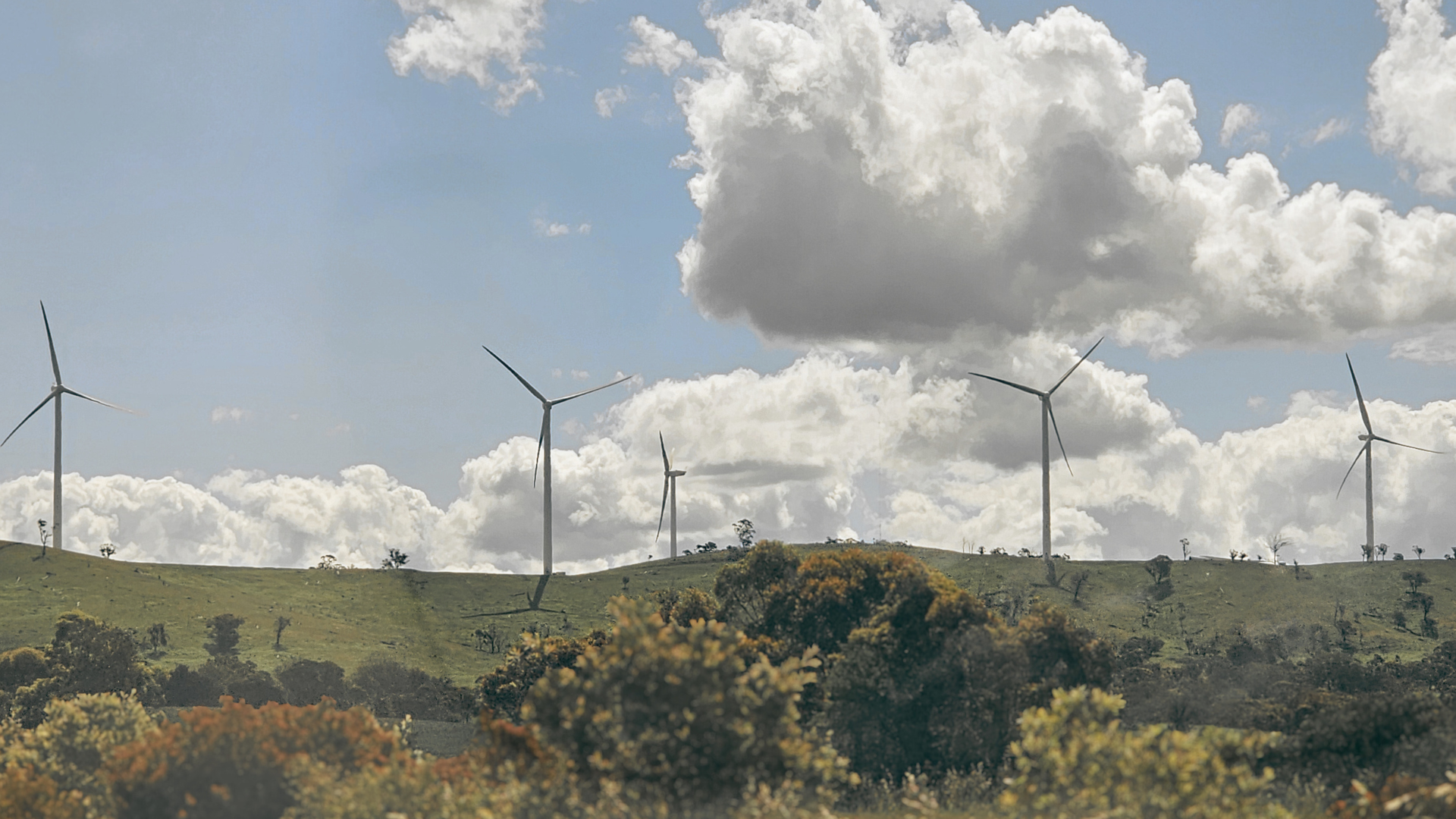 Image 1-Nov-13-2025-01-16-32-3875-AM