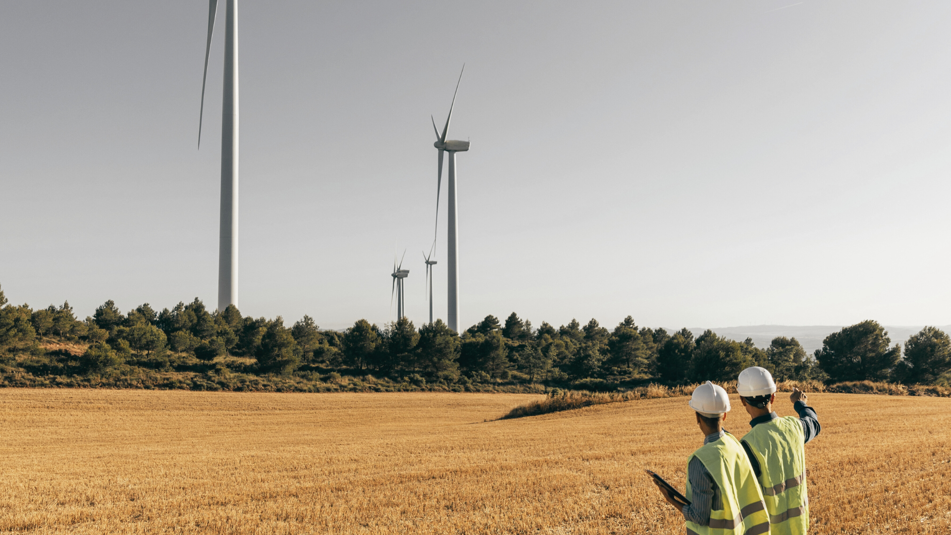 Image 2-Feb-05-2026-02-06-45-9516-AM