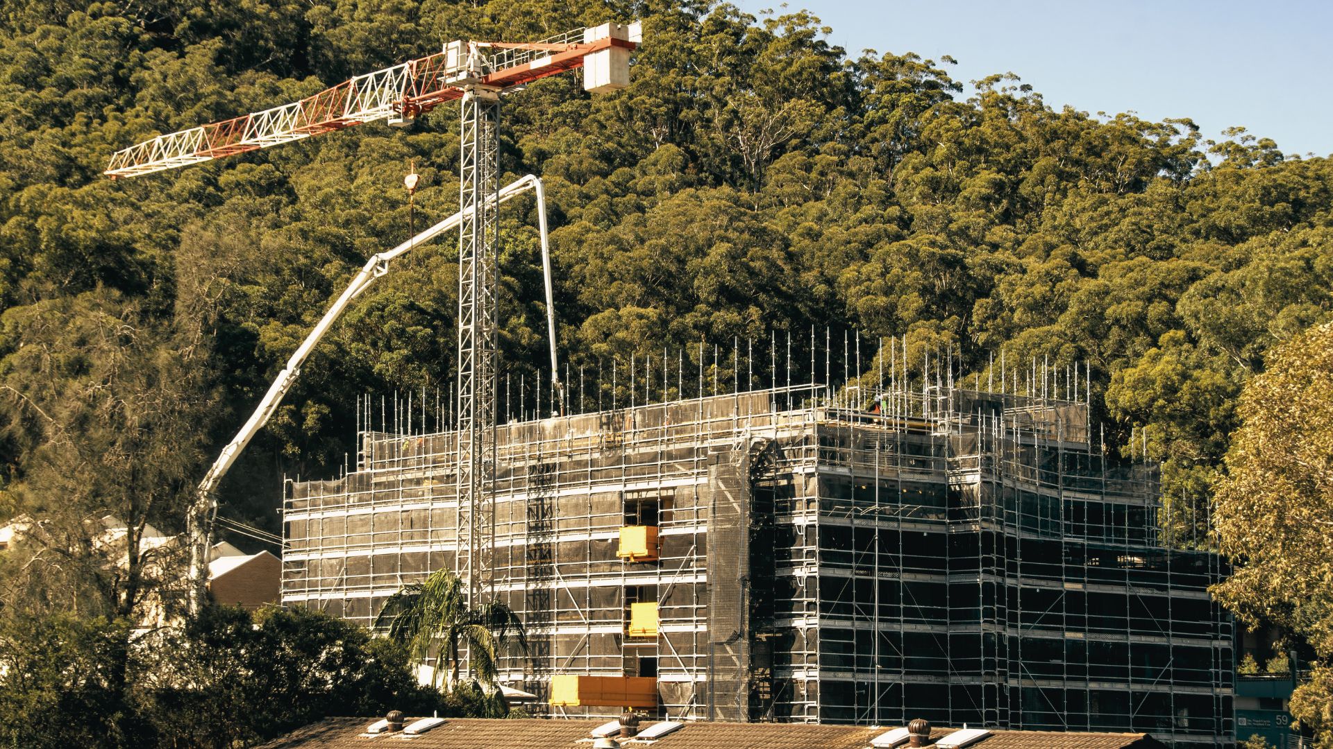 Image 3-Nov-20-2025-04-05-29-7230-AM