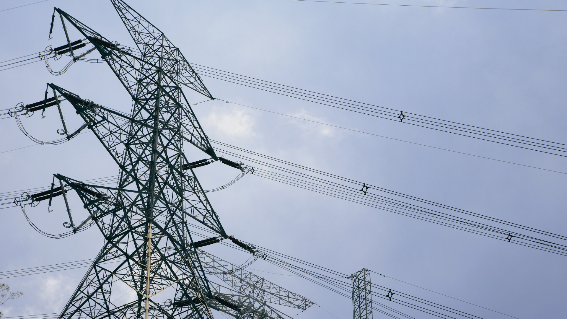 The Pulse | 1 October 2025