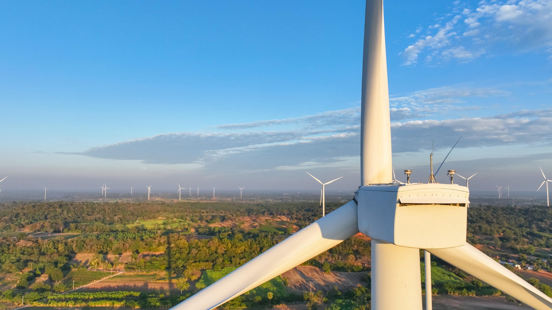 The Pulse | 22 October 2025