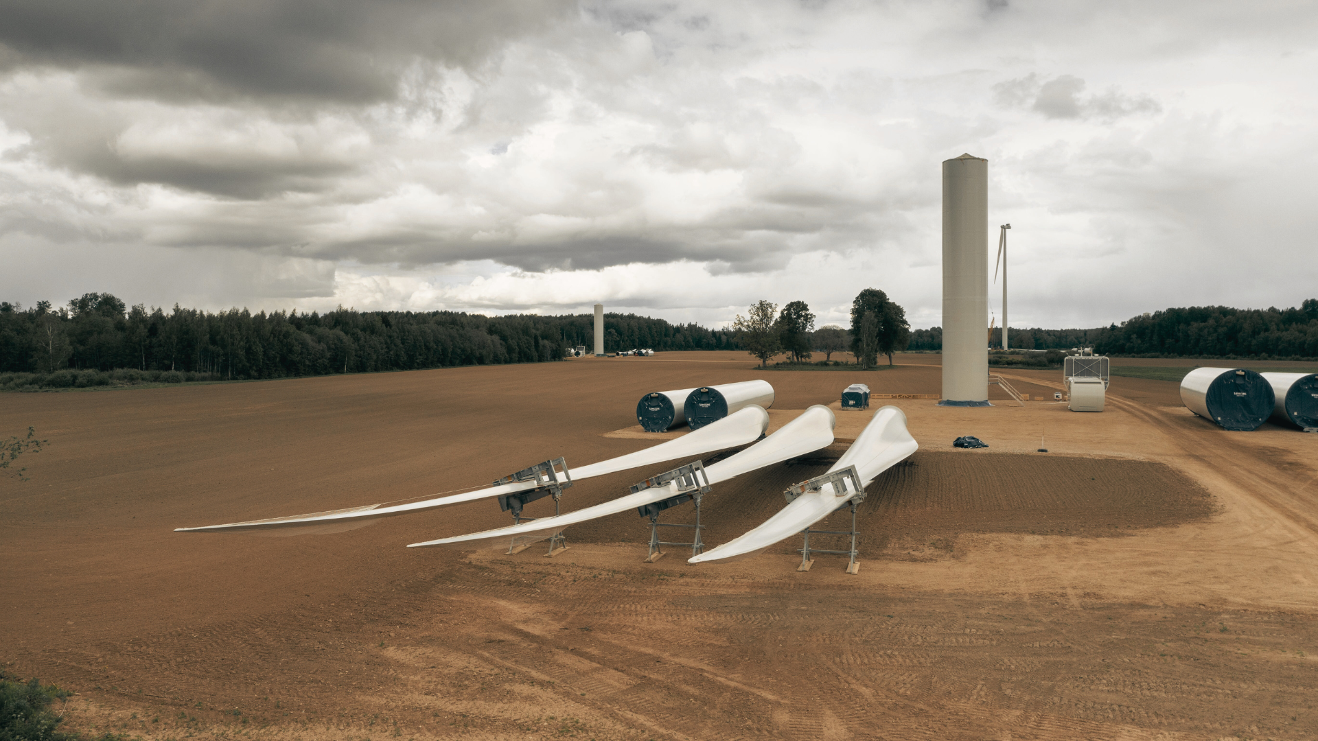 The Pulse | 15 January 2026