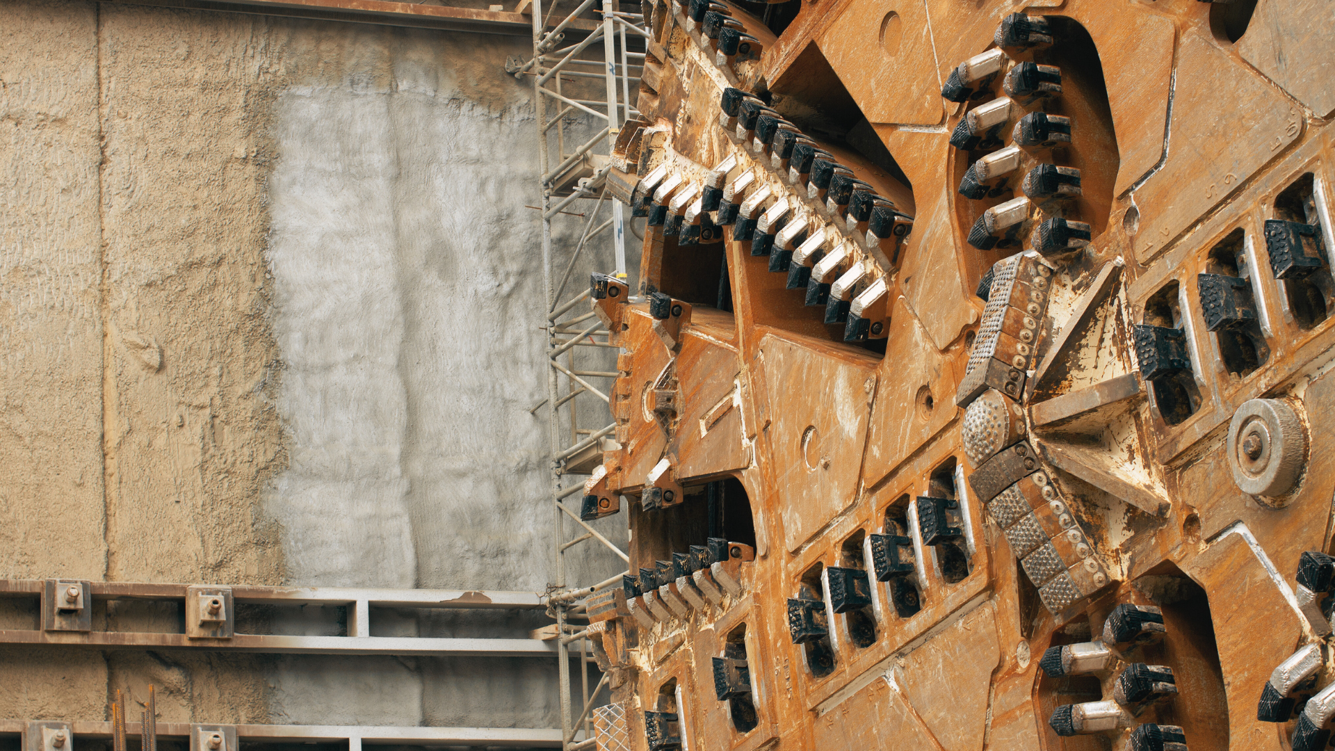 The Pulse | 13 November 2025