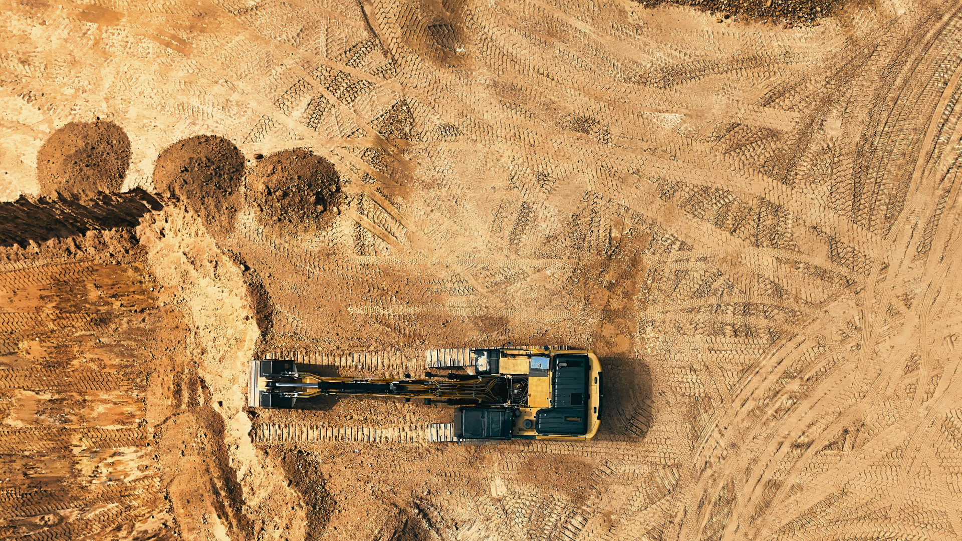 The Pulse | 20 November 2025