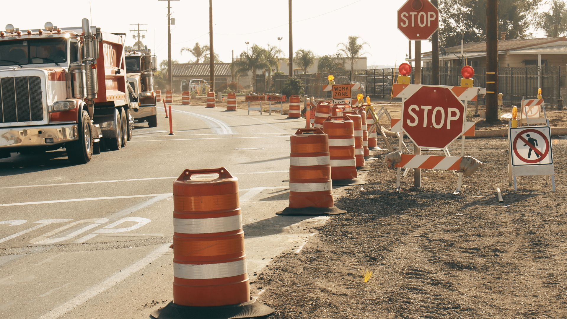 The Pulse | 29 October 2025