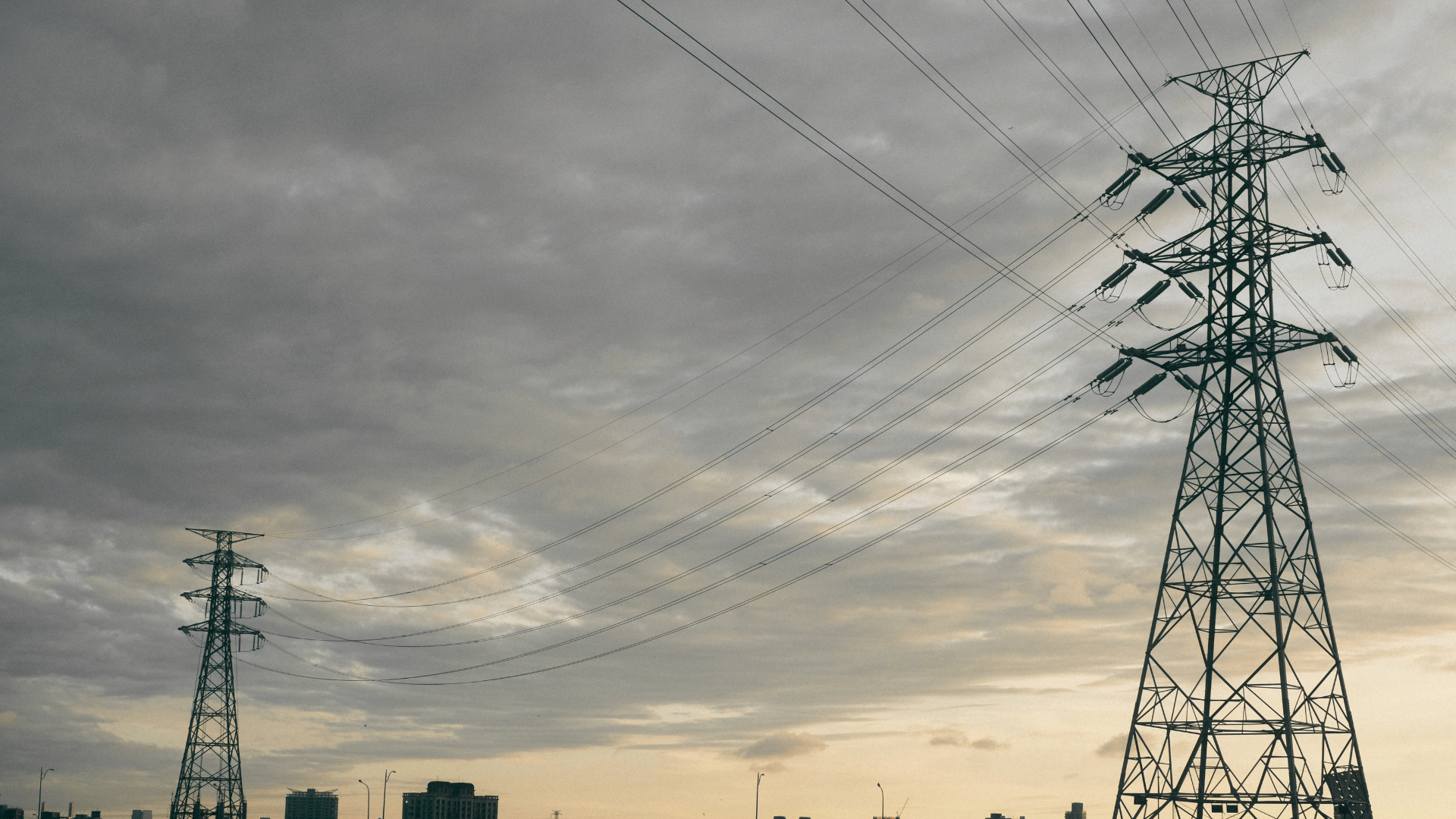 The Pulse | 4 December 2025