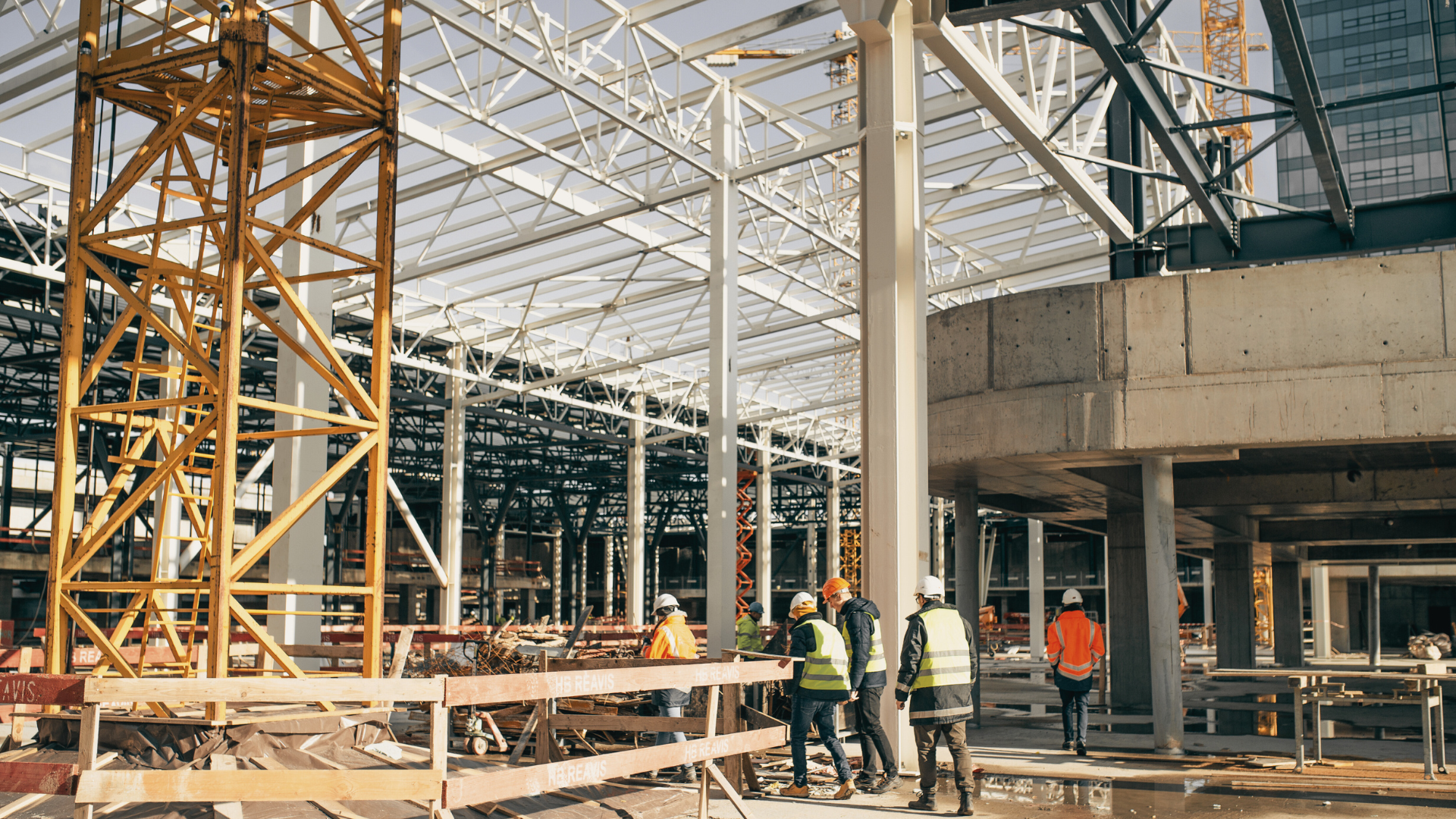 The Pulse | 19 February 2026