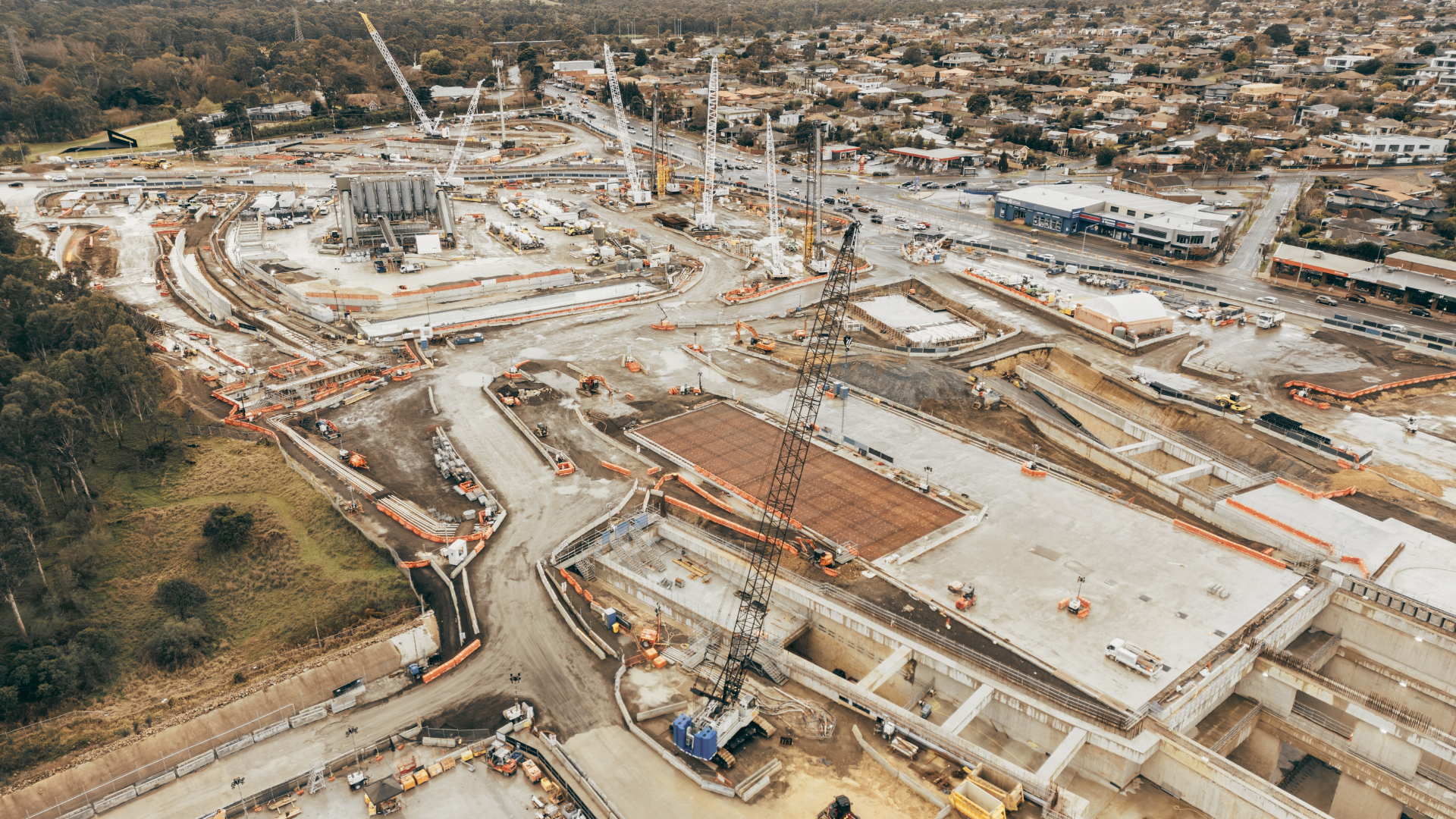 The Pulse | 19 March 2026