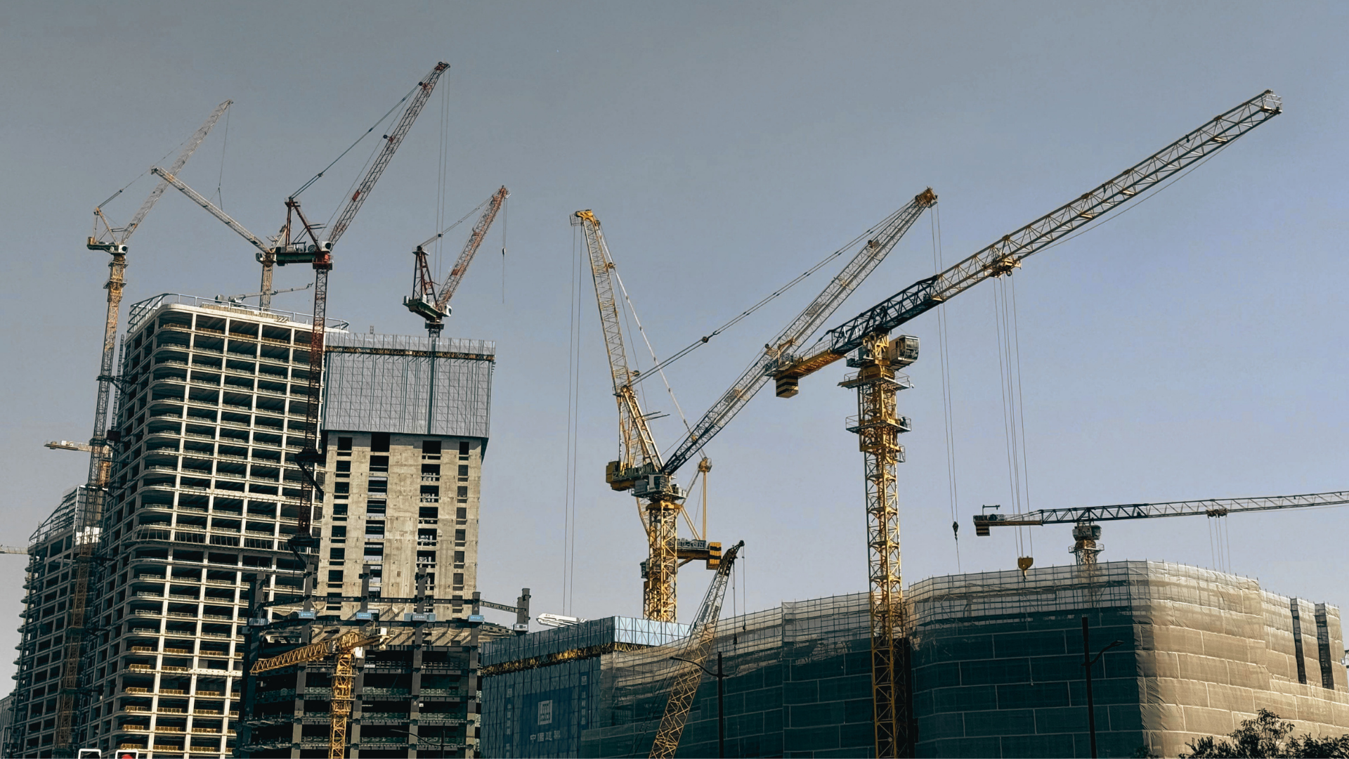 The Pulse | 25 March 2026