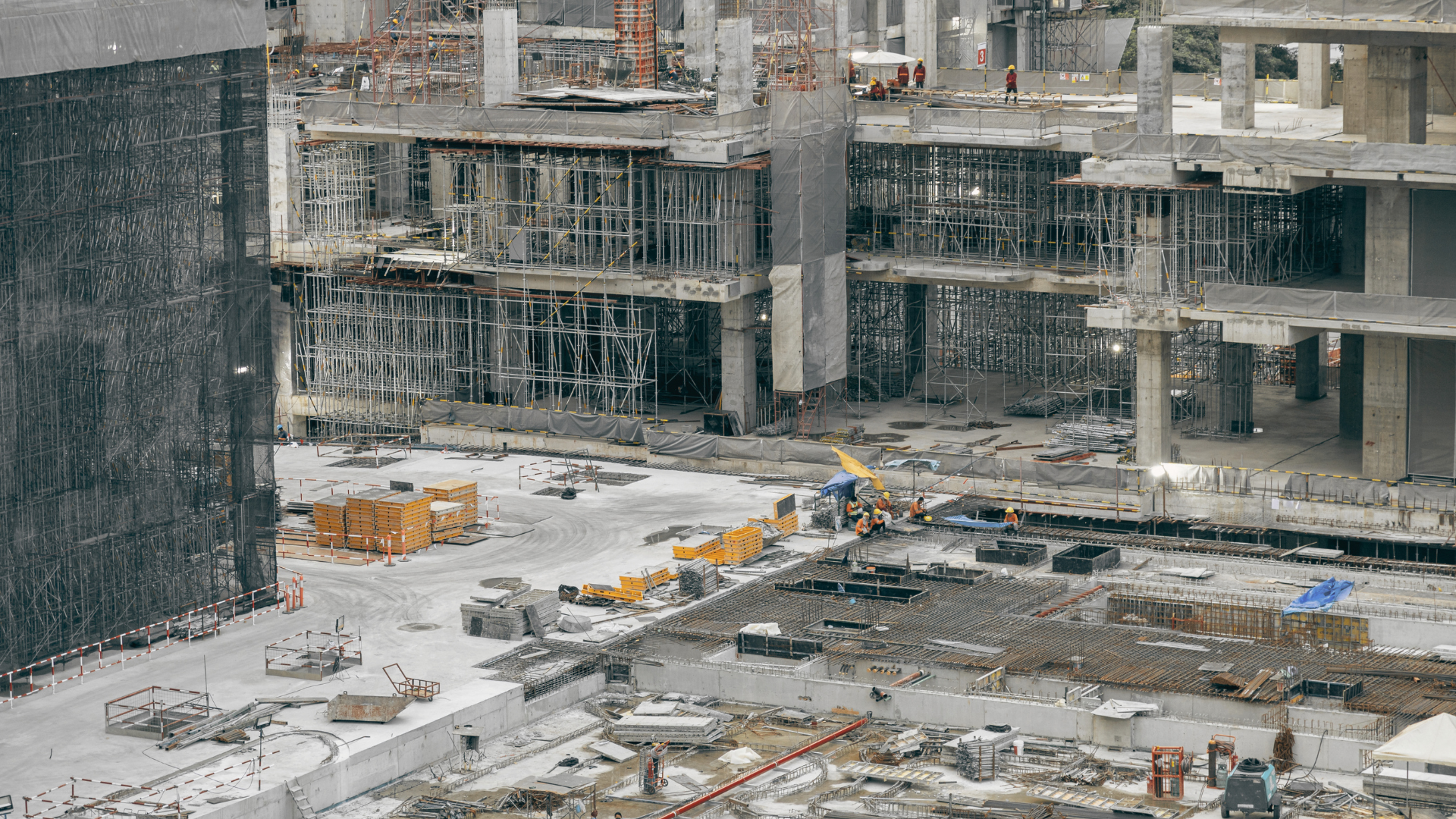 The Pulse | 24 September 2026
